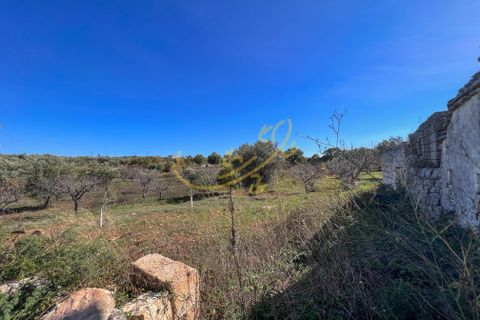 Masia a Monopoli, Bari, Monopoli - € 130.000 | Ref: R 401 - foto 35