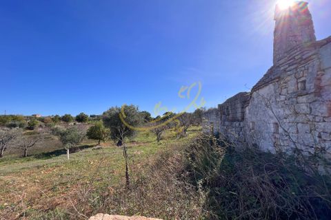 Masia a Monopoli, Bari, Monopoli - € 130.000 | Ref: R 401 - foto 36