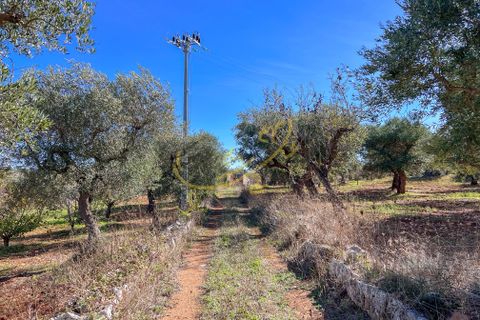 Masia a Monopoli, Bari, Monopoli - € 130.000 | Ref: R 401 - foto 41