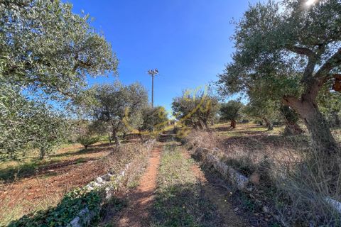 Masia a Monopoli, Bari, Monopoli - € 130.000 | Ref: R 401 - foto 42