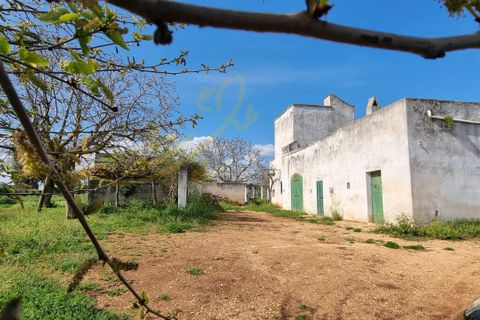 Landejendom i Polignano a Mare, Bari, Polignano a Mare - € 540.000 | Ref: M 24 - foto 2