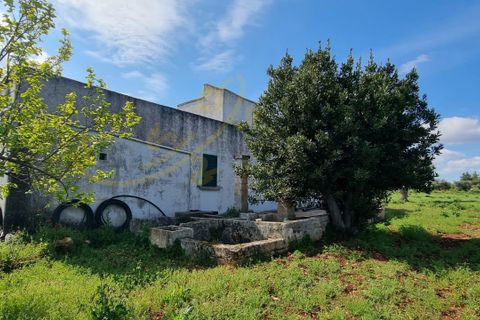 Landejendom i Polignano a Mare, Bari, Polignano a Mare - € 540.000 | Ref: M 24 - foto 15