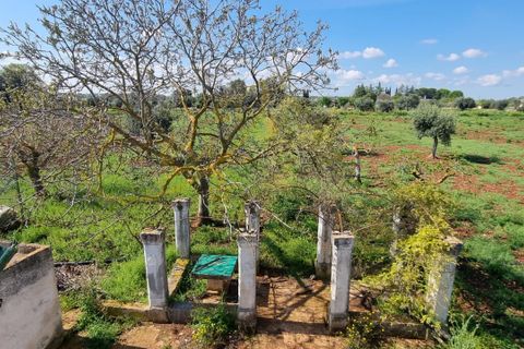Landejendom i Polignano a Mare, Bari, Polignano a Mare - € 540.000 | Ref: M 24 - foto 18