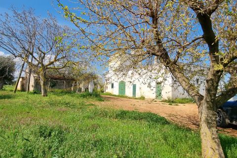 Landejendom i Polignano a Mare, Bari, Polignano a Mare - € 540.000 | Ref: M 24 - foto 24
