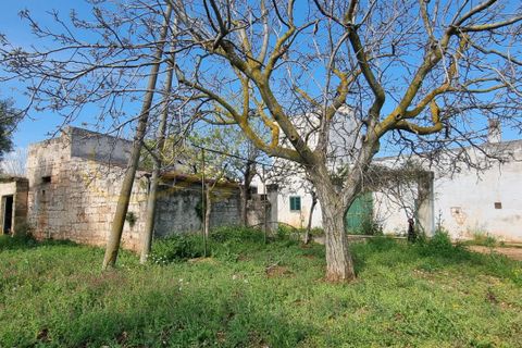 Landejendom i Polignano a Mare, Bari, Polignano a Mare - € 540.000 | Ref: M 24 - foto 25