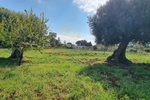 Landejendom i Polignano a Mare, Bari, Polignano a Mare - € 540.000 | Ref: M 24 - foto 26