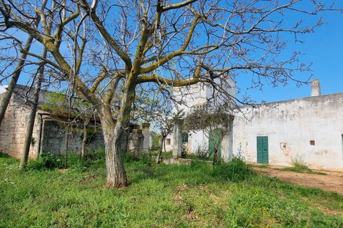Landejendom i Polignano a Mare, Bari, Polignano a Mare - € 540.000 | Ref: M 24 - foto 28
