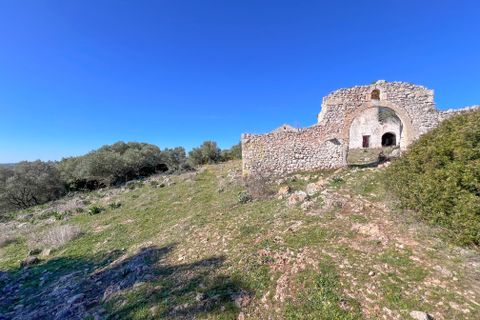 Landejendom i Crispiano, Taranto, Crispiano - € 360.000 | Ref: M 26 - foto 3