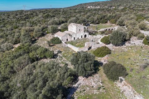 Landejendom i Crispiano, Taranto, Crispiano - € 360.000 | Ref: M 26 - foto 5