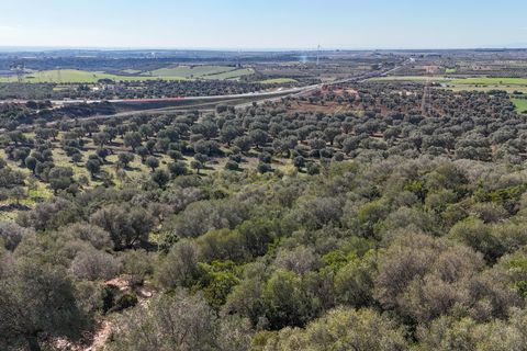 Landejendom i Crispiano, Taranto, Crispiano - € 360.000 | Ref: M 26 - foto 19