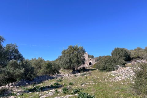 Landejendom i Crispiano, Taranto, Crispiano - € 360.000 | Ref: M 26 - foto 20