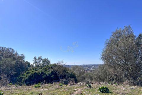 Landejendom i Crispiano, Taranto, Crispiano - € 360.000 | Ref: M 26 - foto 21