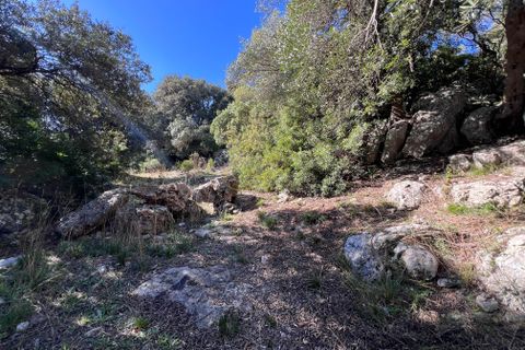 Landejendom i Crispiano, Taranto, Crispiano - € 360.000 | Ref: M 26 - foto 23