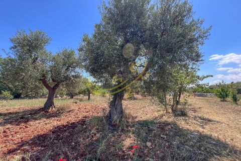 Landejendom i Polignano a Mare, Bari, Polignano a Mare - € 650.000 | Ref: R 436 - foto 22
