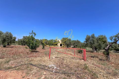 Landejendom i Polignano a Mare, Bari, Polignano a Mare - € 650.000 | Ref: R 436 - foto 26