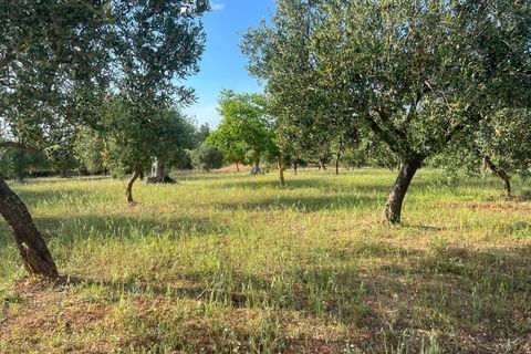 Landejendom i Alberobello, Bari, Alberobello - € 448.000 | Ref: R 442 - foto 33