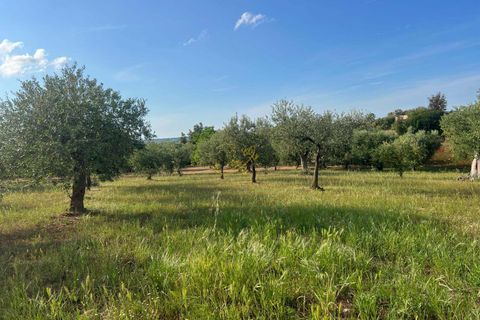 Landejendom i Alberobello, Bari, Alberobello - € 448.000 | Ref: R 442 - foto 36