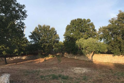 Landejendom i Alberobello, Bari, Alberobello - € 448.000 | Ref: R 442 - foto 37