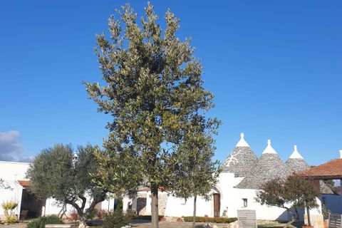 Landejendom i Noci, Bari, Noci - € 690.000 | Ref: R 449 - foto 3