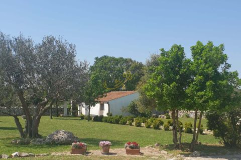 Landejendom i Noci, Bari, Noci - € 690.000 | Ref: R 449 - foto 4