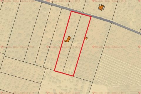Landejendom i Conversano, Bari, Conversano - € 750.000 | Ref: R 453 - foto 29