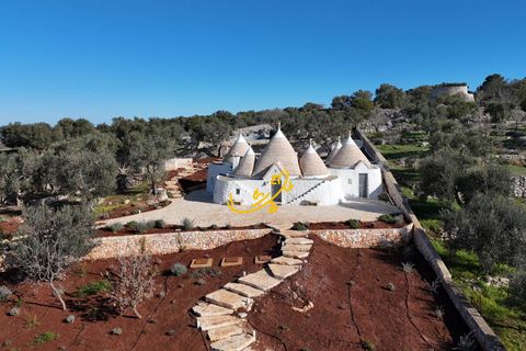 Landejendom i Ostuni, Brindisi, Ostuni - € 880.000 | Ref: R 464 - foto 5