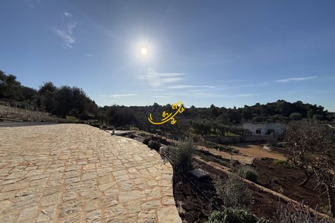 Landejendom i Ostuni, Brindisi, Ostuni - € 880.000 | Ref: R 464 - foto 12