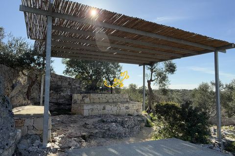 Landejendom i Ostuni, Brindisi, Ostuni - € 880.000 | Ref: R 464 - foto 47