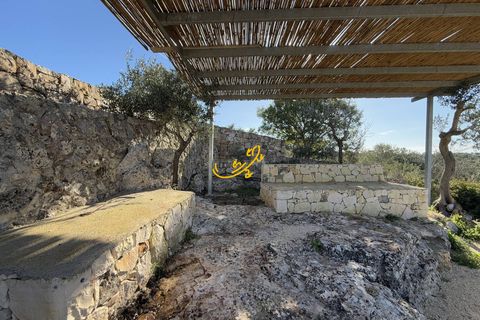 Landejendom i Ostuni, Brindisi, Ostuni - € 880.000 | Ref: R 464 - foto 48