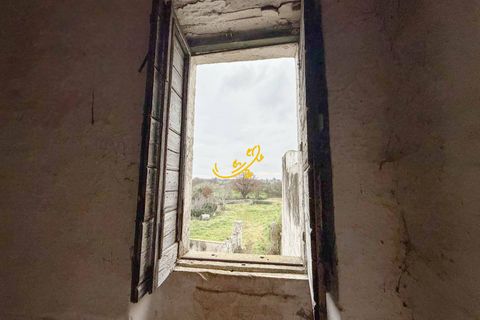 Landejendom i Noci, Bari, Noci - € 195.000 | Ref: M 29 - foto 16
