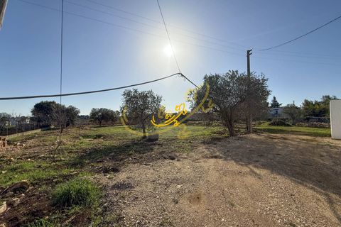 Villa a Polignano a Mare, Bari, Polignano a Mare - € 220.000 | Ref: R 479 - foto 25