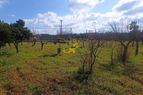 Villa i Conversano, Bari, Conversano - € 470.000 | Ref: R 478 - foto 2