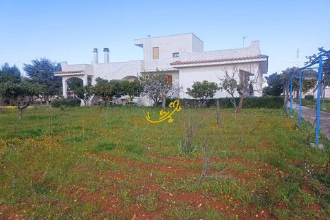 Villa i Conversano, Bari, Conversano - € 470.000 | Ref: R 478 - foto 3
