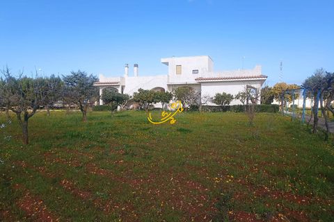 Villa i Conversano, Bari, Conversano - € 470.000 | Ref: R 478 - foto 26