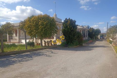 Villa i Conversano, Bari, Conversano - € 470.000 | Ref: R 478 - foto 32