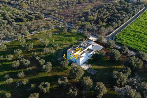 Masia a Monopoli, Bari, Monopoli - € 300.000 | Ref: R 503 - foto 3