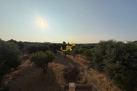 Landejendom i Polignano a Mare, Bari, Polignano a Mare - € 325.000 | Ref: R 504 - foto 30