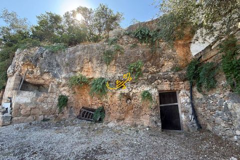 Landejendom i Monopoli, Bari, Monopoli - € 95.000 | Ref: R 514 - foto 7