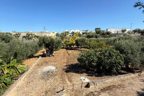 Landejendom i Monopoli, Bari, Monopoli - € 95.000 | Ref: R 514 - foto 13