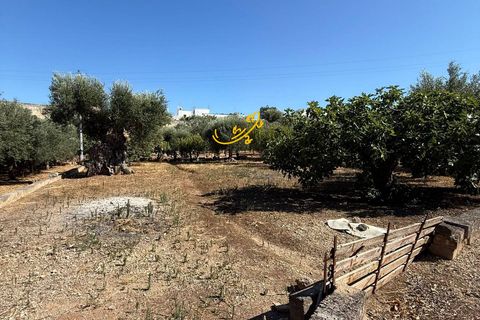 Landejendom i Monopoli, Bari, Monopoli - € 95.000 | Ref: R 514 - foto 20