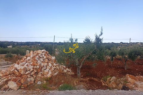 Landejendom i Ostuni, Brindisi, Ostuni - € 350.000 | Ref: R 517 - foto 4