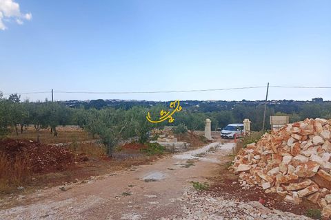 Landejendom i Ostuni, Brindisi, Ostuni - € 350.000 | Ref: R 517 - foto 6
