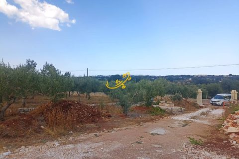 Landejendom i Ostuni, Brindisi, Ostuni - € 350.000 | Ref: R 517 - foto 8