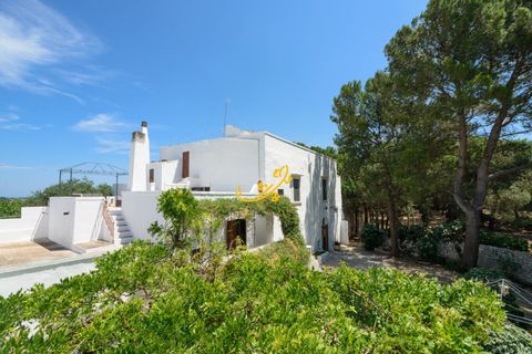 Landejendom i Conversano, Bari, Conversano - € 1.350.000 | Ref: M 32 - foto 1
