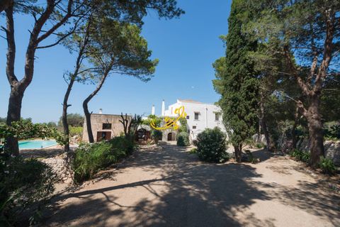Landejendom i Conversano, Bari, Conversano - € 1.350.000 | Ref: M 32 - foto 6