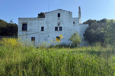 Landejendom i Conversano, Bari, Conversano - € 1.350.000 | Ref: M 32 - foto 3