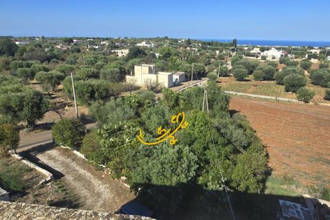 Landejendom i Monopoli, Bari, Monopoli - € 300.000 | Ref: R 519 - foto 3