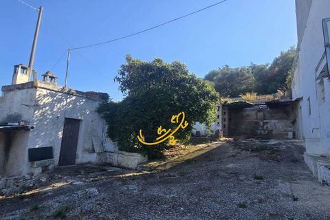 Landejendom i Monopoli, Bari, Monopoli - € 300.000 | Ref: R 519 - foto 19