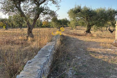 Landejendom i Alberobello, Bari, Alberobello - € 125.000 | Ref: R 521 - foto 9