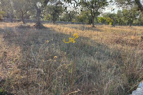 Landejendom i Alberobello, Bari, Alberobello - € 125.000 | Ref: R 521 - foto 11